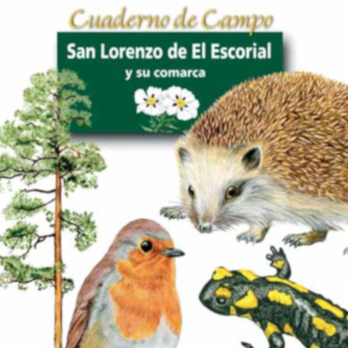 Cuaderno de campo
